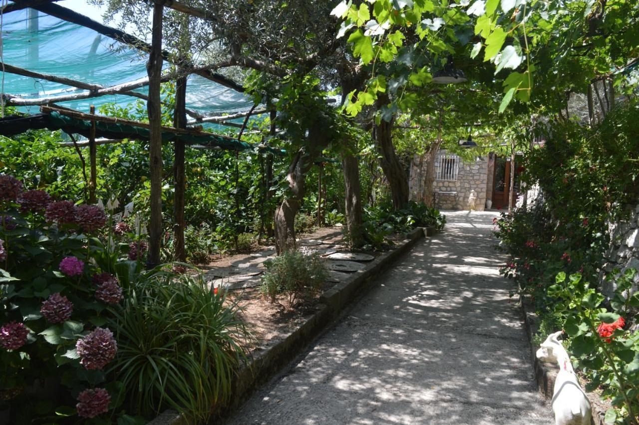 La Petra Villa Vico Equense Bagian luar foto