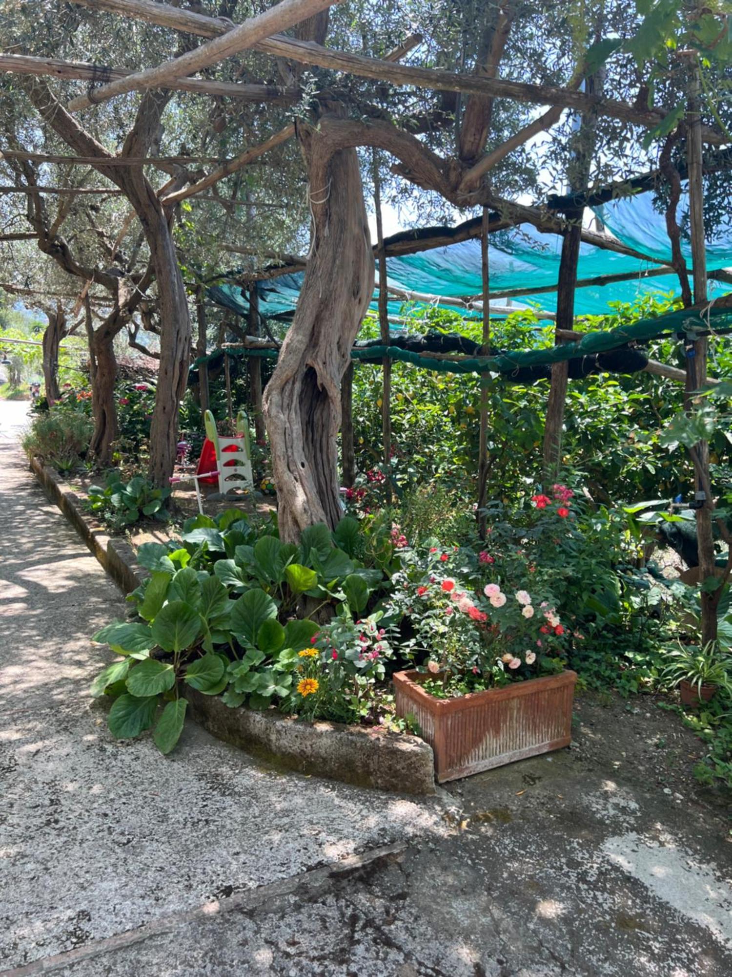 La Petra Villa Vico Equense Bagian luar foto